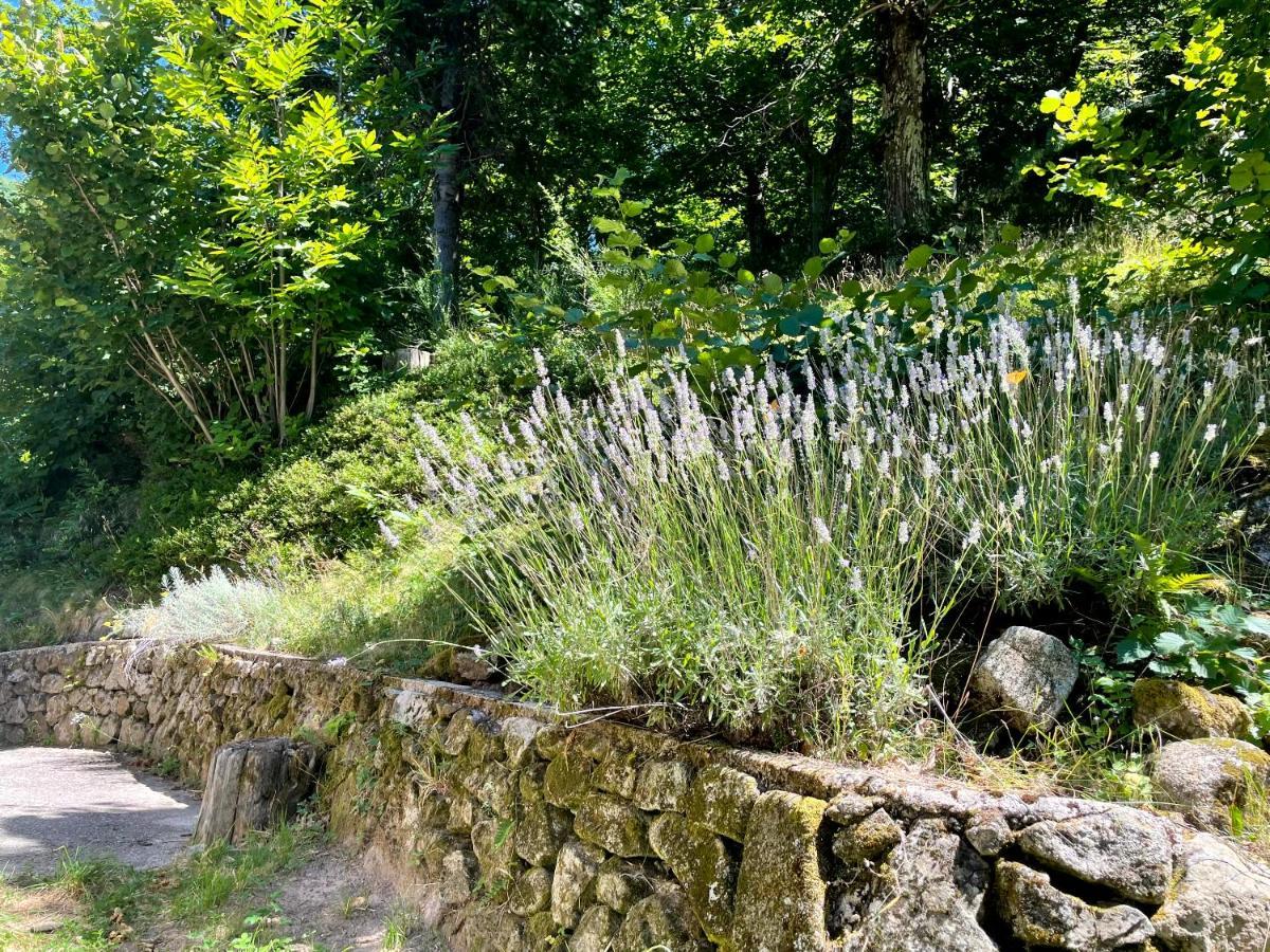 Gite Des Sausses Dans Une Nature Preservee Burzet מראה חיצוני תמונה